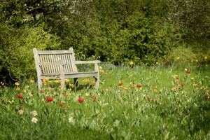 banc dans une prairie